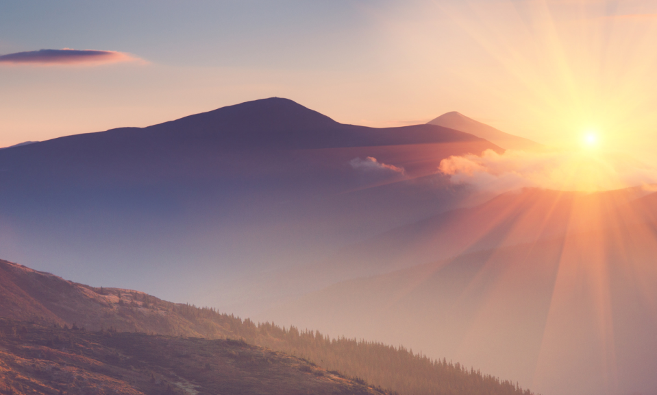 Headerbanner Neuheit