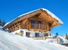 Ferienhaus aus Holz in Schnee